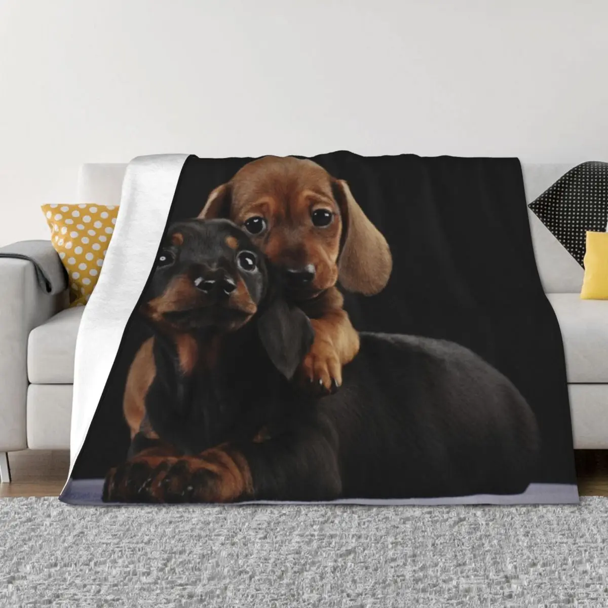 

Dachshund Dog portrait photo pupies Throw Blanket Plaid on the sofa Plaid Plush Luxury St Blankets