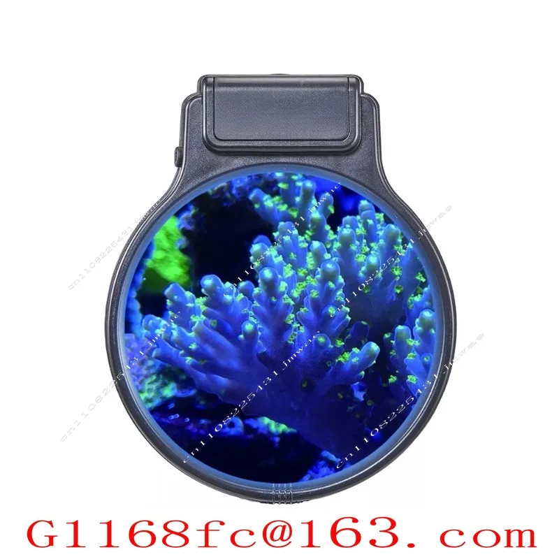 Aquarium Sea Fish Coral Night Vision Pastel Reef Magnifying Glass