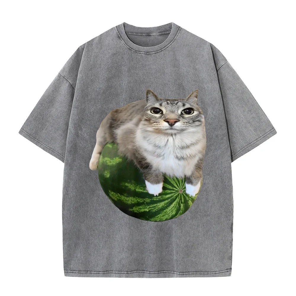 Watermelon Cat Silly Meme T-Shirt Novità In Top E Magliette Koszulki Męskie Camisetas Para Hombre Originales Gift Short Sleeve