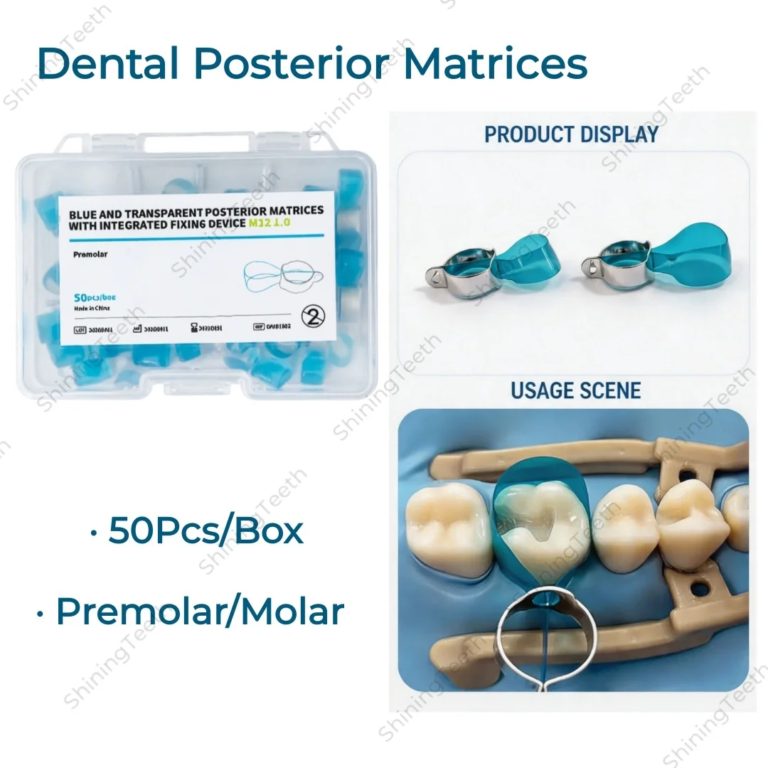 

Dental Blue Posterior Matrices Matrix Bands Ring Molar Premoar Matrice Strips M12 1.0 For Class-Ⅱ Restorations Molar Ring