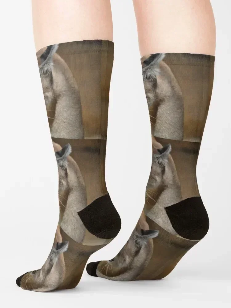 Cougar Socks bright garter Stockings man sports stockings aesthetic Man Socks Women's