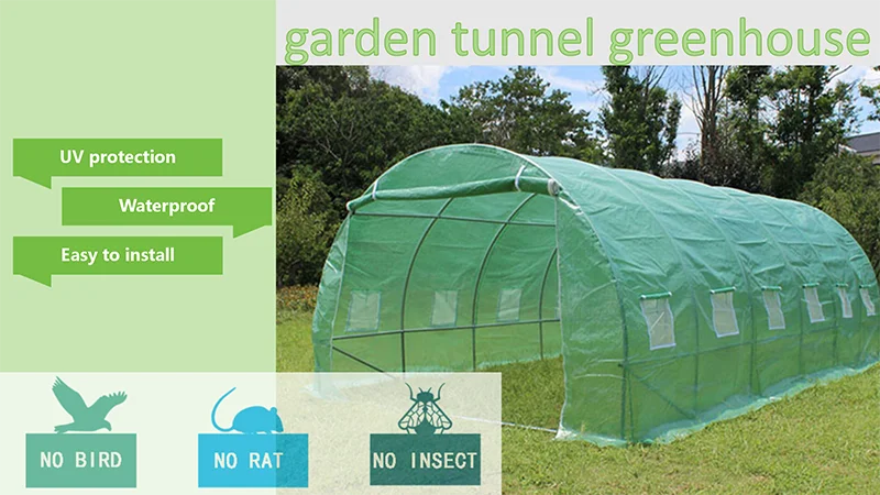 20256x3x2m 온실 키트 조립하기 쉬운 금속 프레임 농업용 비닐 커버 재배에 편리한 폴리 터널