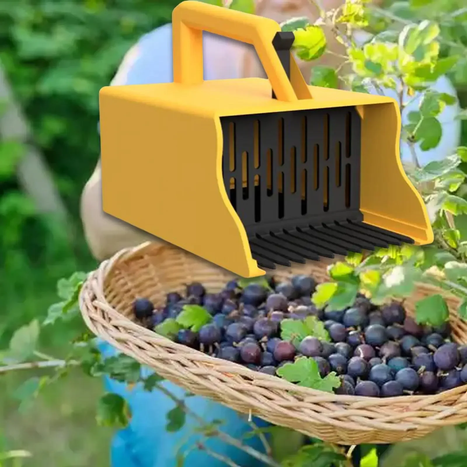 منتقي التوت في الهواء الطلق منتقي التوت لـ Huckleberries التيجان الحمراء أدوات قطف التوت منتقي الفاكهة أدوات البستنة