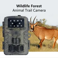 36MP 1080P Video Wildlife Trail Camera Photo Trap Infrared Hunting Cameras Wildlife Wireless Surveillance Tracking Cams
