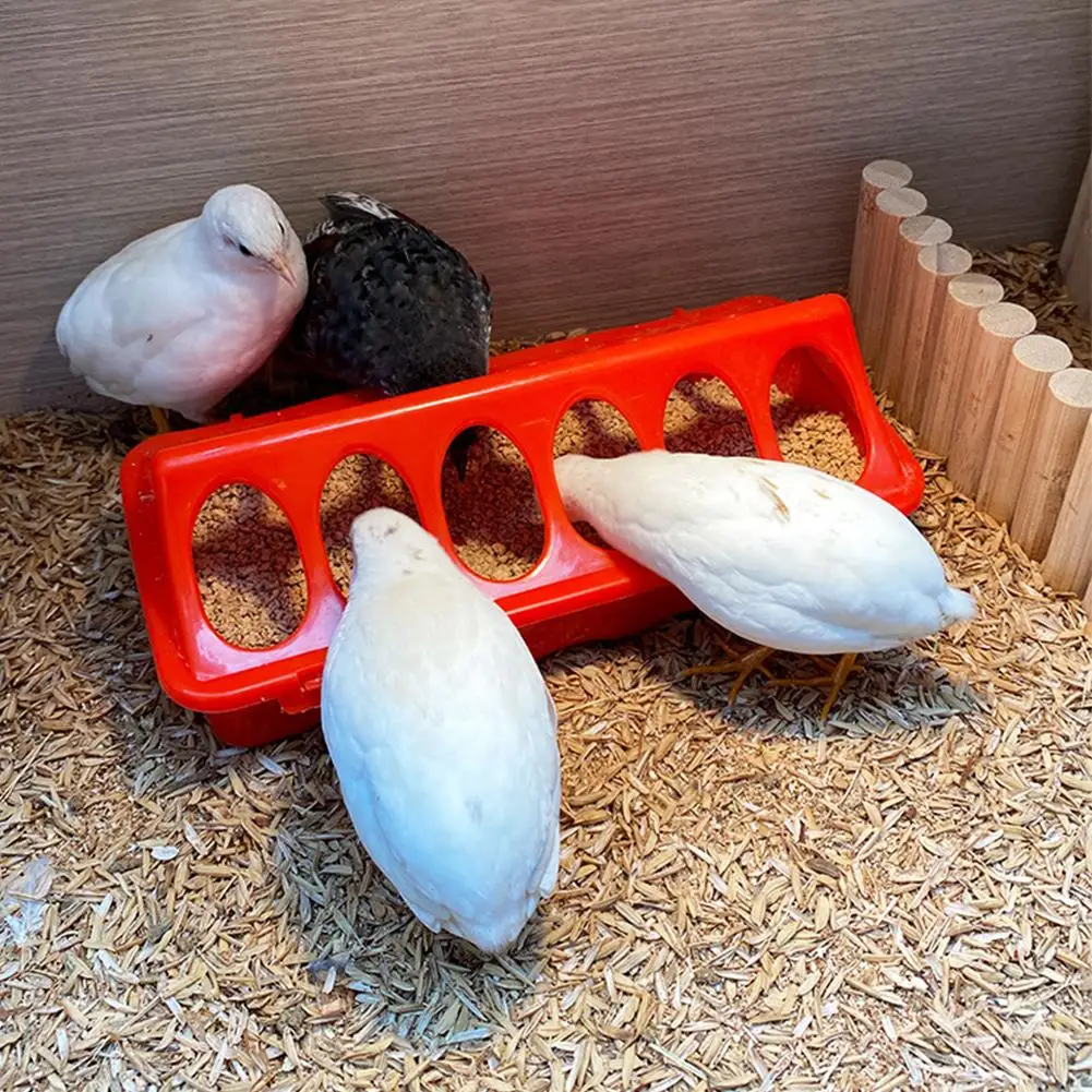 جديد رودين تغذية الدجاج وعاء مياه أوتوماتيكي الدواجن الفرخ السمان الفرخ صندوق تغذية المغذية التلقائية مزرعة حظيرة الدجاج المورد