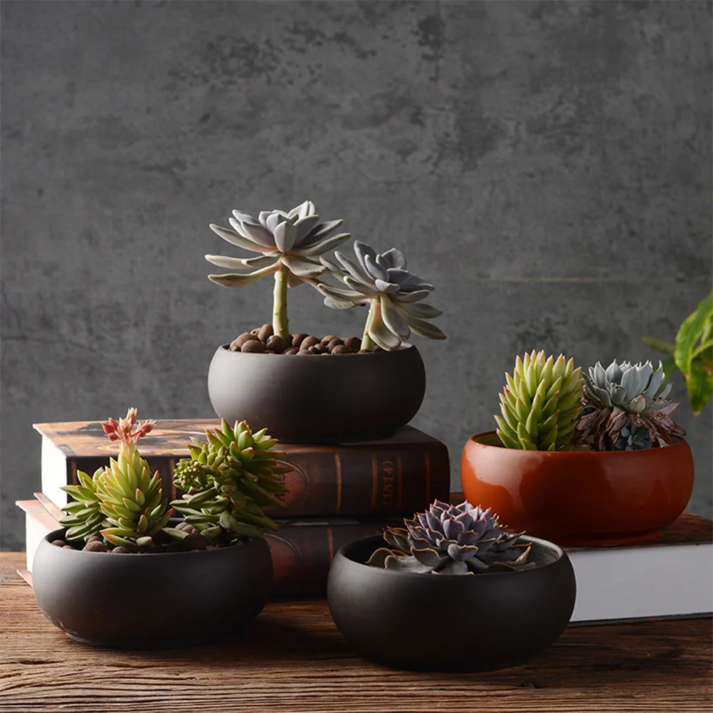 

Purple Sands Planter Pot Drain Hole Succulent Flowerpot Desktop Bonsai Flower Container Home Office Decoration