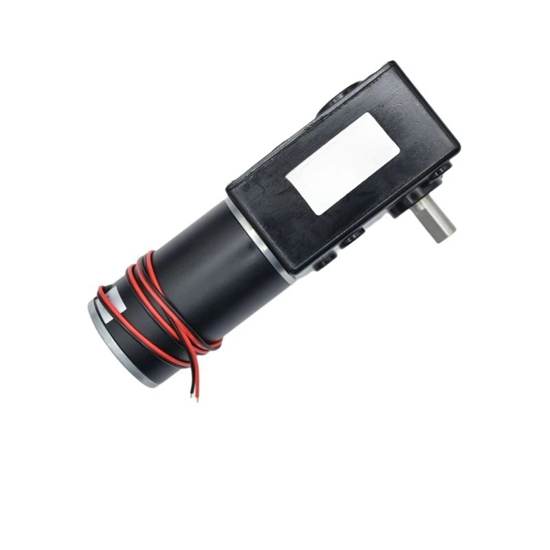 Micro DC worm gear gear motor forward and reverse large torque with self-locking voltage 24V