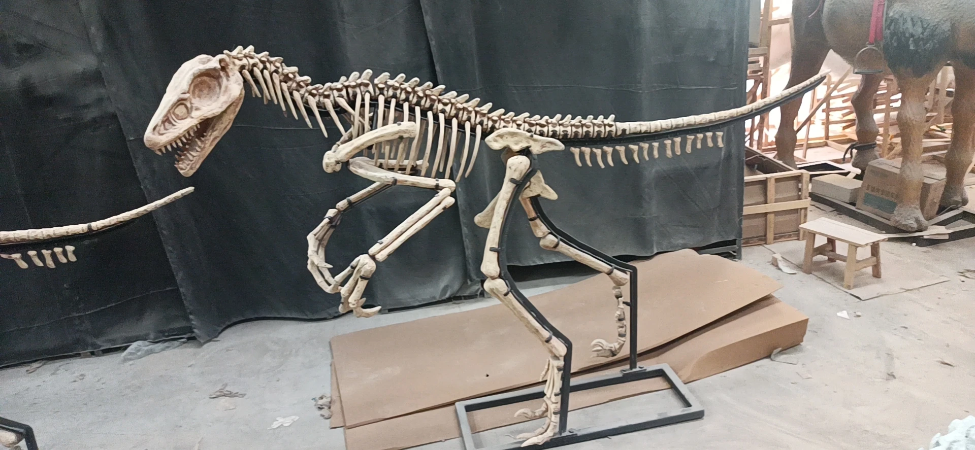 ATV&UTVNew Product Life-size Dinosaur Bone for Dinosaur Theme Parks and Museums DINOSKY