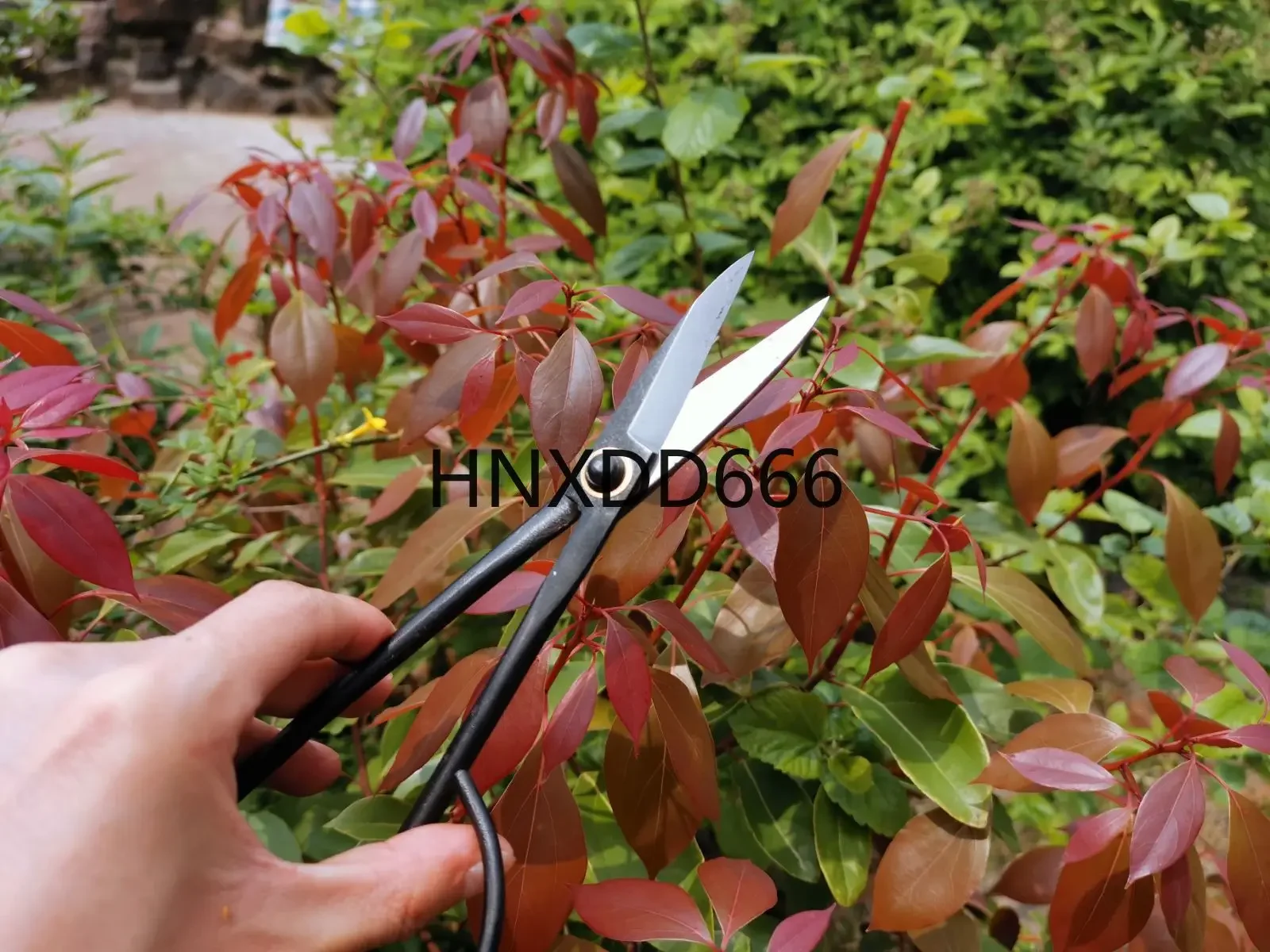 Pruning shears pure solid wood handle gardening thick branch large shears