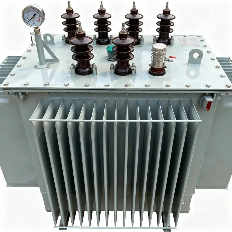 25kVA 3-Phase Distribution Transformer With 380V 415V 440V 480V Output 50/60Hz Input 33/0.4kv 3-Phase 2kv 3.3kv 6kv 35kv 69kv