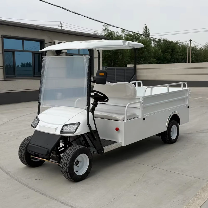 High-performance electric utility vehicle with rear cargo box