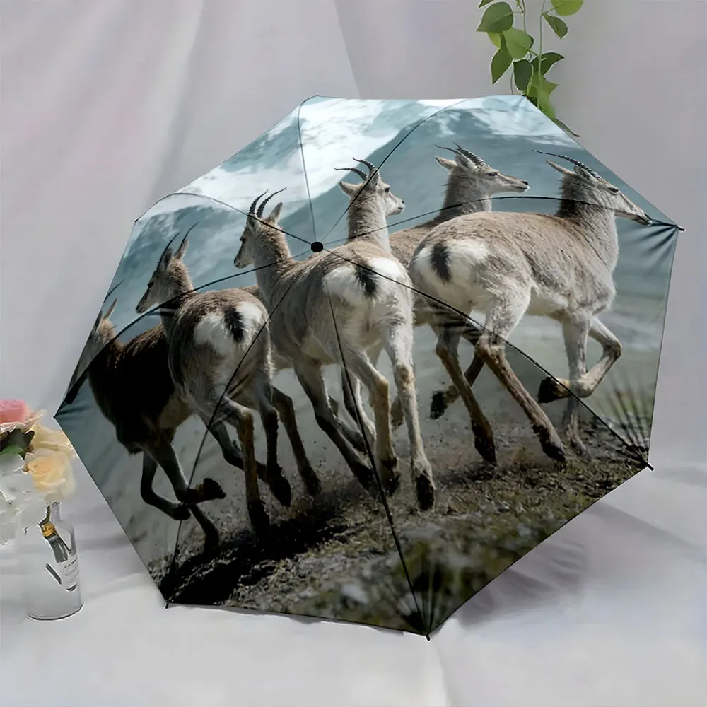 1PC Mountain Adventure Design: Umbrella with Running Gazelles Print 8 Iron Ribs Folding Umbrella Auto-Open Fashion Sunshade