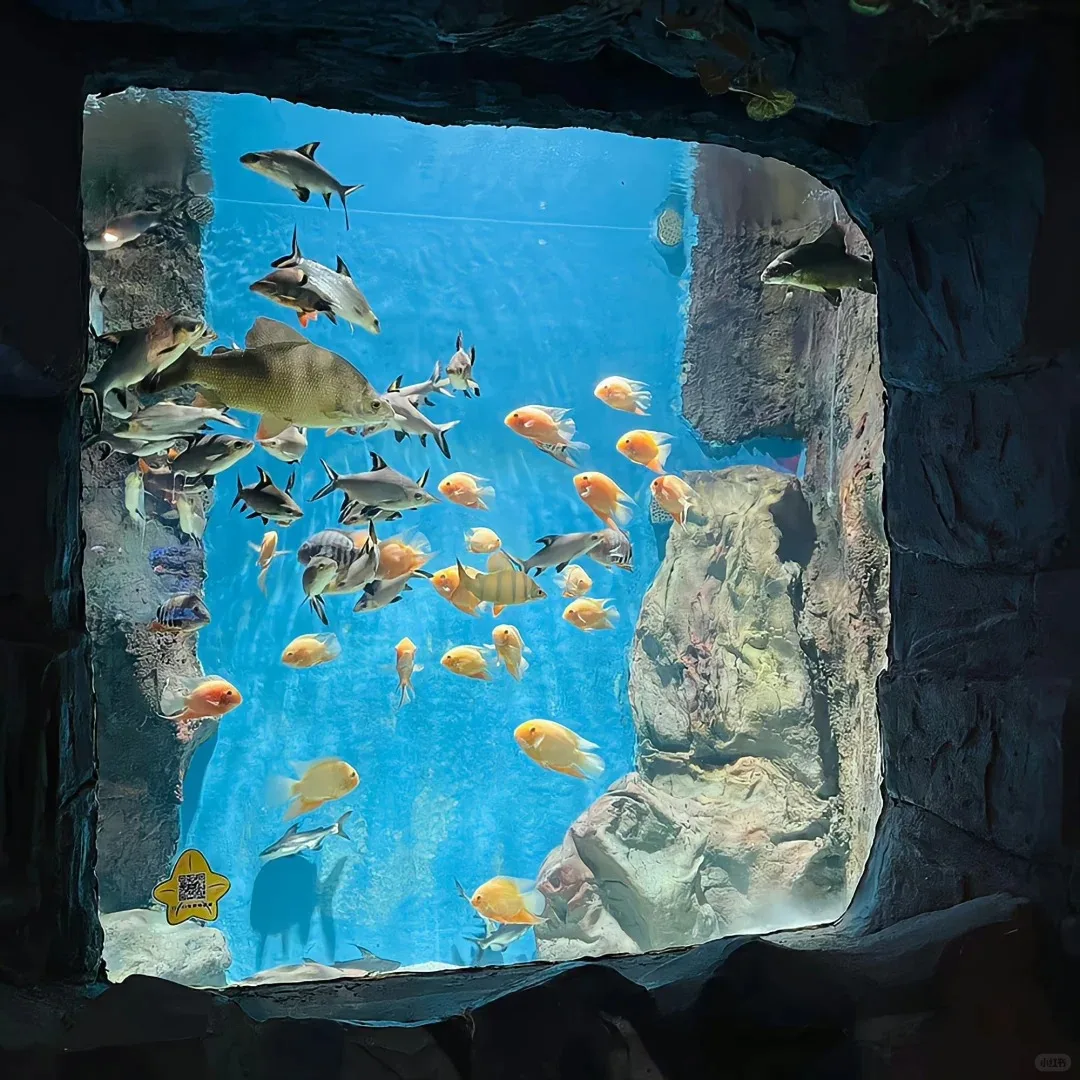 

Цена на аппарат для удаления волос: диодный лазер для перманентного удаления волос 755 808 1064 нм, диодный лазер для удаления волос для женщин