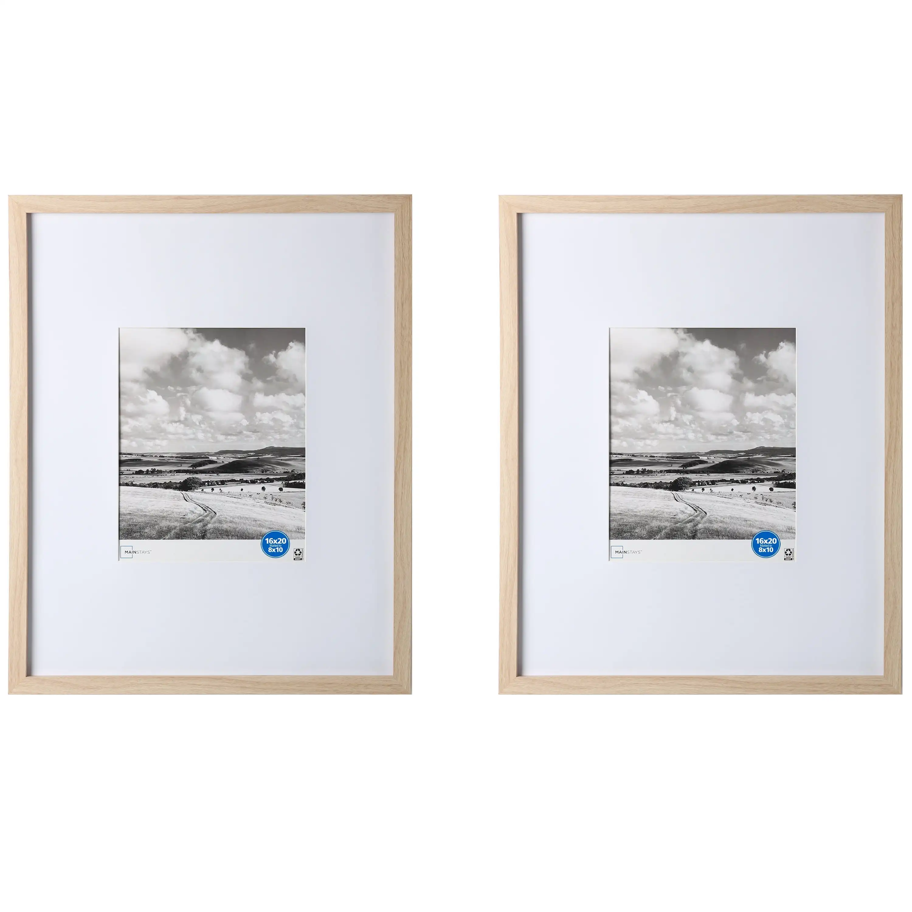 16 X 20 Matted To 8x10 Gallery Frame Set 2 Pack Bevel Cut Mats Drawing The Eye Toward The Central Elegance