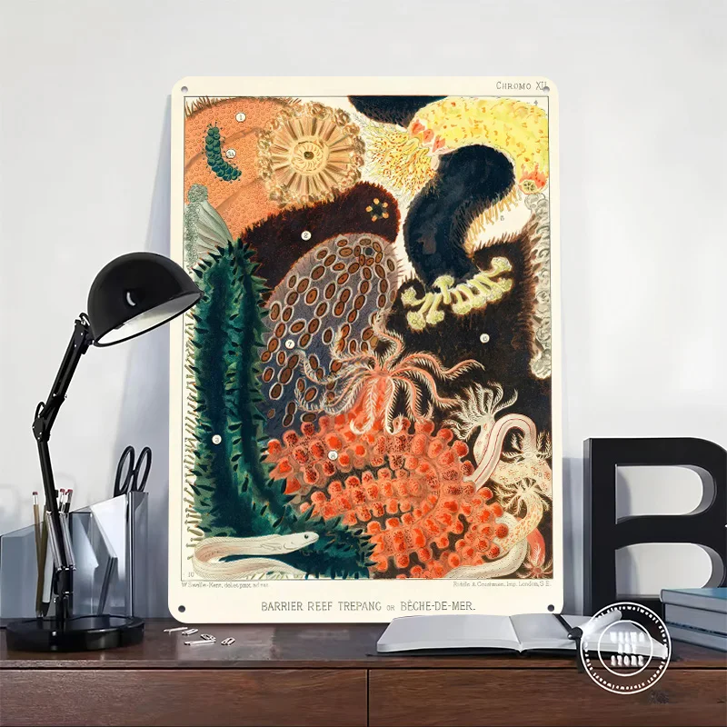 Barrier Reef Trepang Vintage Illustration Poster Retro 3D Printed Metal Signs Customized Wall Hanging Gift for Bar Accessories