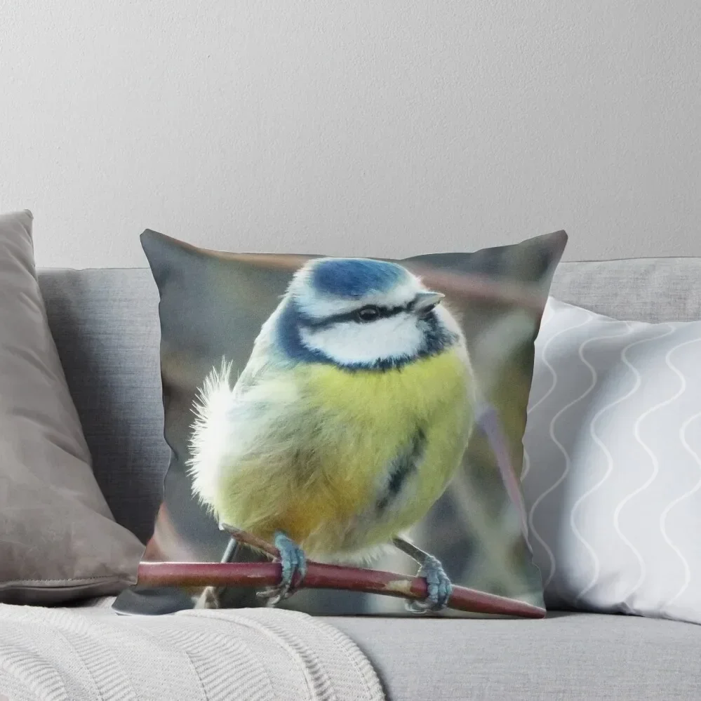 Beautiful Blue Tit cutest bird garden lovers delight and dream Throw Pillow luxury sofa pillows ornamental pillows Pillow