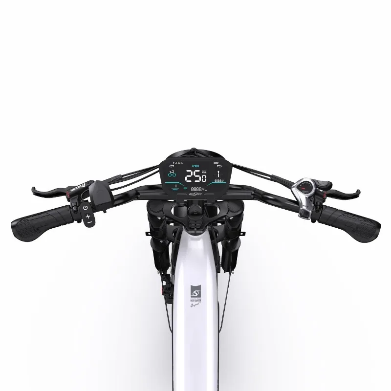 Custom Lightweight Alloy 48V 250W 18Ah 864Wh 20x4.0 Inch Rear Hub Motor Hydraulic Disc Brake Adult Electric City Bike