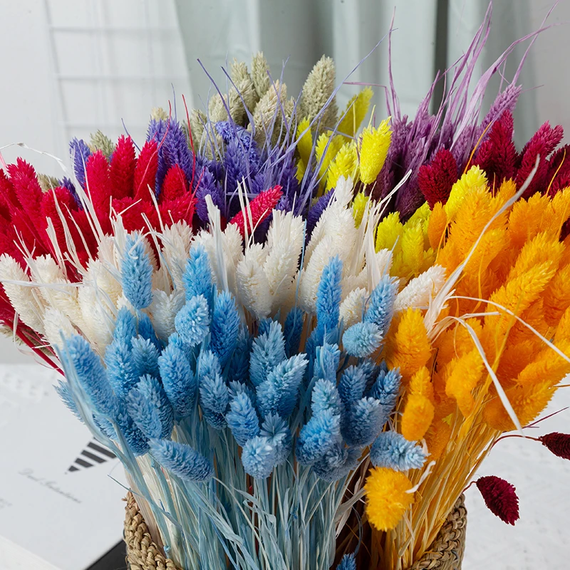 

40~45PCS/35CM Long,Real Natural Dry Plant Beauty Grass Branch,Dried Jewelweed Flower Bouquet For Home Decor,Wedding Decoration