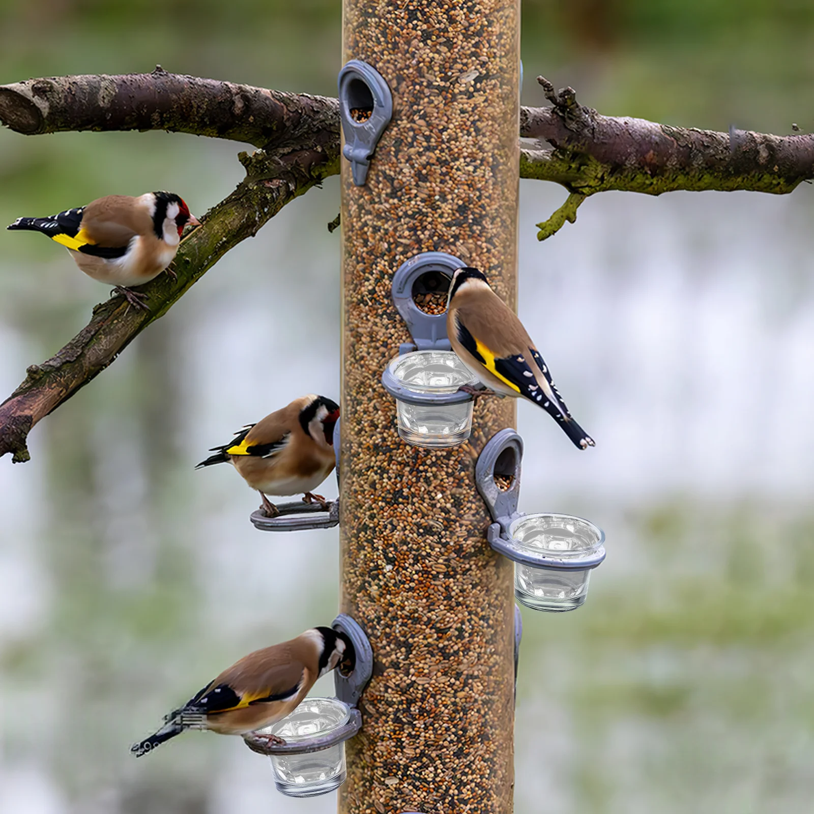 

Glass Bird Feeder Cup Outdoor Hanging Balcony Window Feeder Part Hummingbird Feeding Accessory Bird Feeders for Outdoors Balcony
