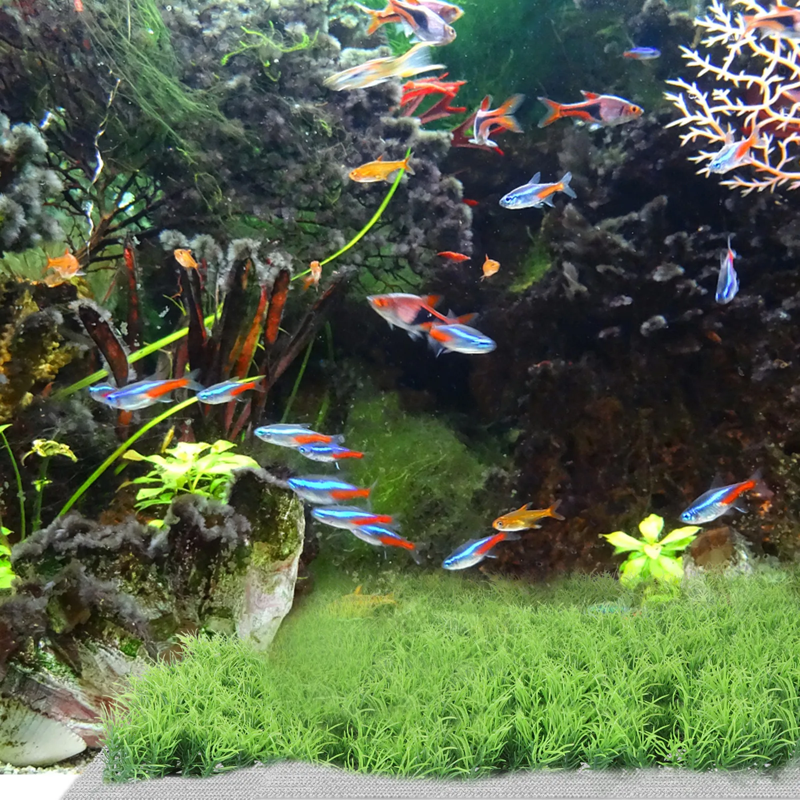 Planted Aquarium Moss - 10 stuks aquariumgras vast net roestvrij