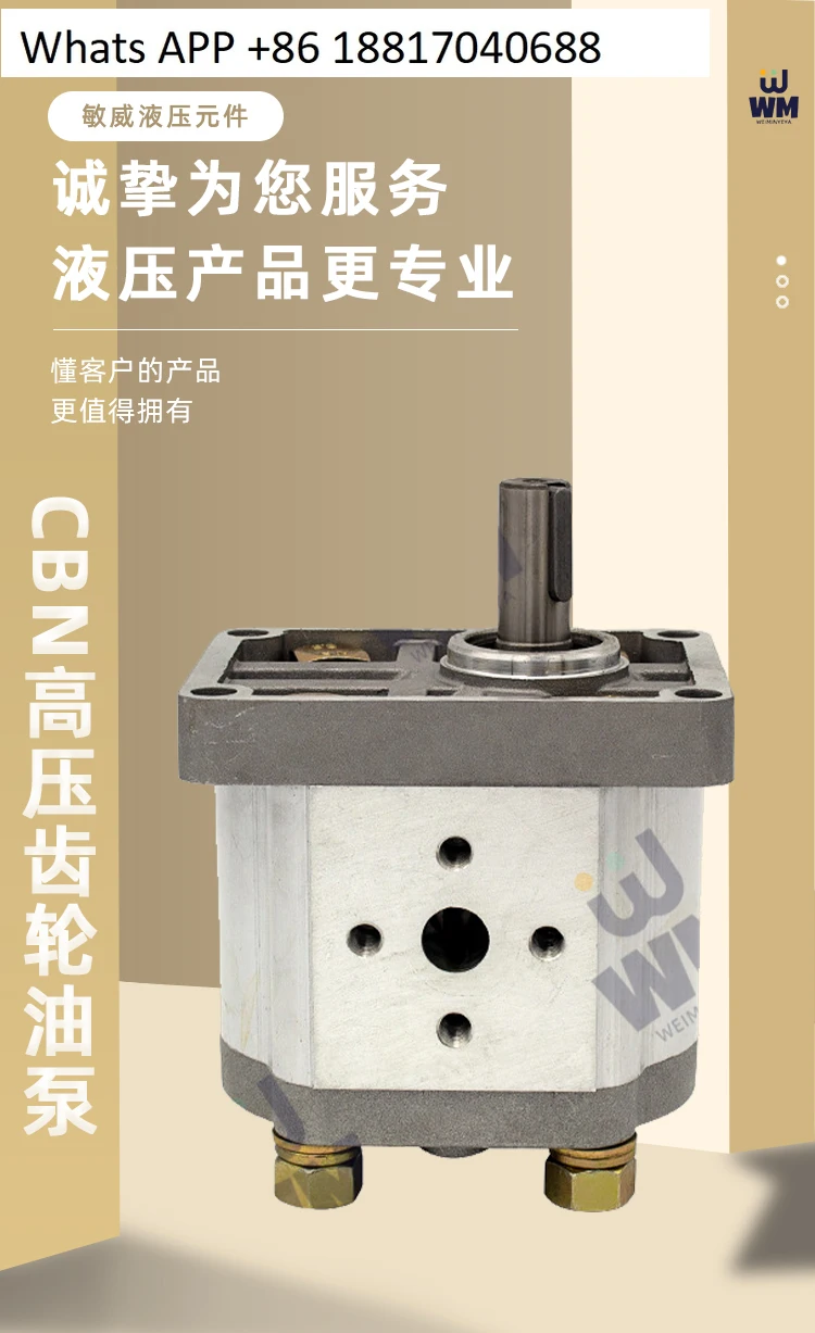 

Hydraulic gear pump oil pump assembly CBN-F310 314 316/20/25 small high pressure