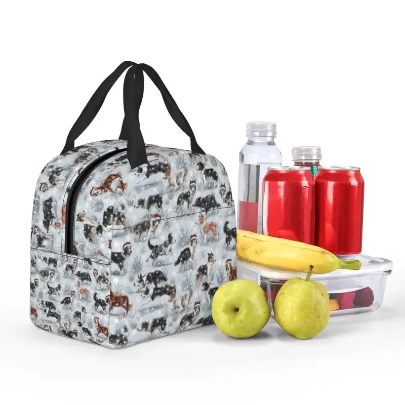 صندوق غداء كلب كولي محمول لعيد الميلاد ، متعدد الوظائف ، حيوان أليف ، حيوان ، مبرد حراري ، طعام ، معزول ، مكتب ، عمل ، لطيف