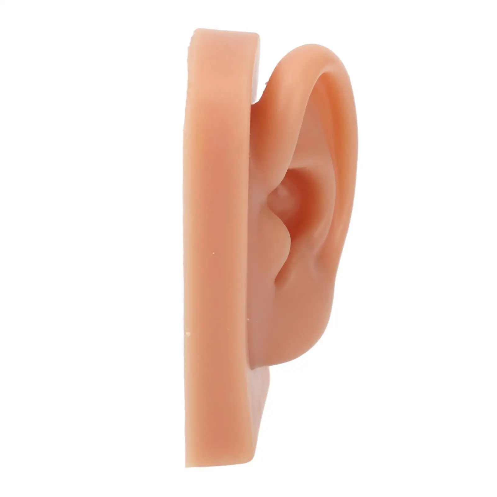 نموذج أذن سيليكون مرن ثلاثي الأبعاد لمتجر المجوهرات، أداة ممارسة الأذن الناعمة القابلة لإعادة الاستخدام للمبتدئين