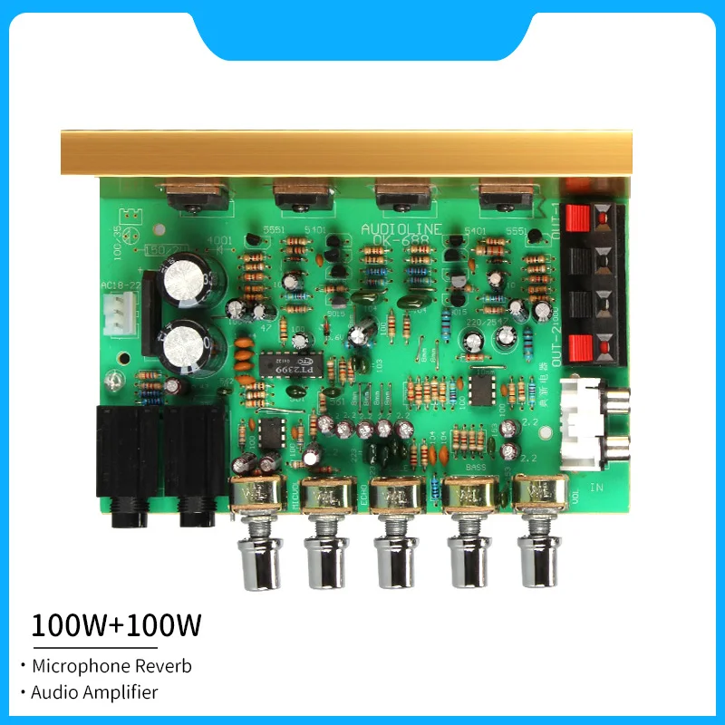 100W Reverb Audio Amplifier 2.0 Channel 2X100W High Power Amplifiers Board PT2399 With Karaoke Microphone Reverberation