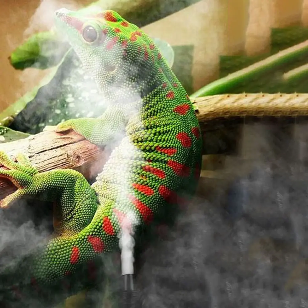 

4-литровый увлажнитель для рептилий, большая емкость, двойная трубка, туманообразователь для рептилий, безопасный увлажнитель для свежести, амфибий, герпс