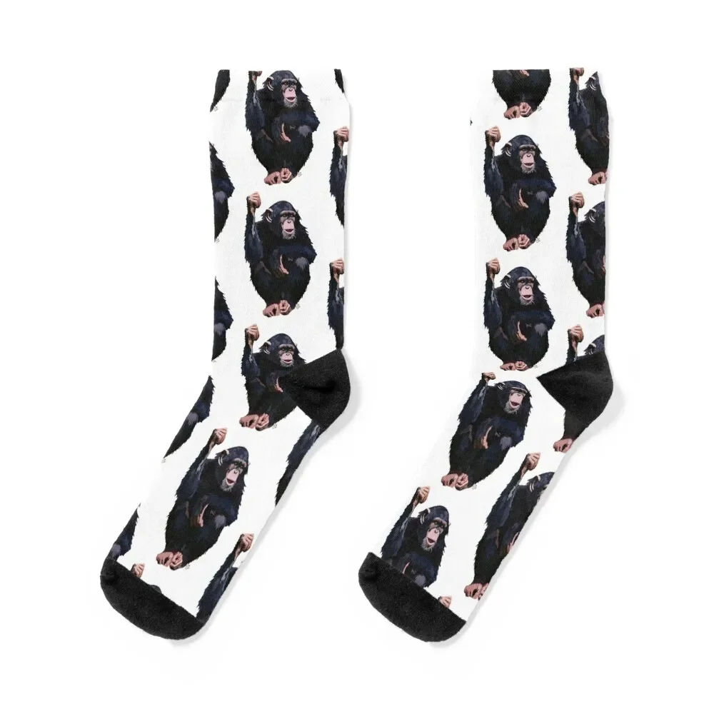 

Chimpanzee (Pan troglodytes schweinfurthii) Socks sheer funny sock hip hop Socks Man Women's