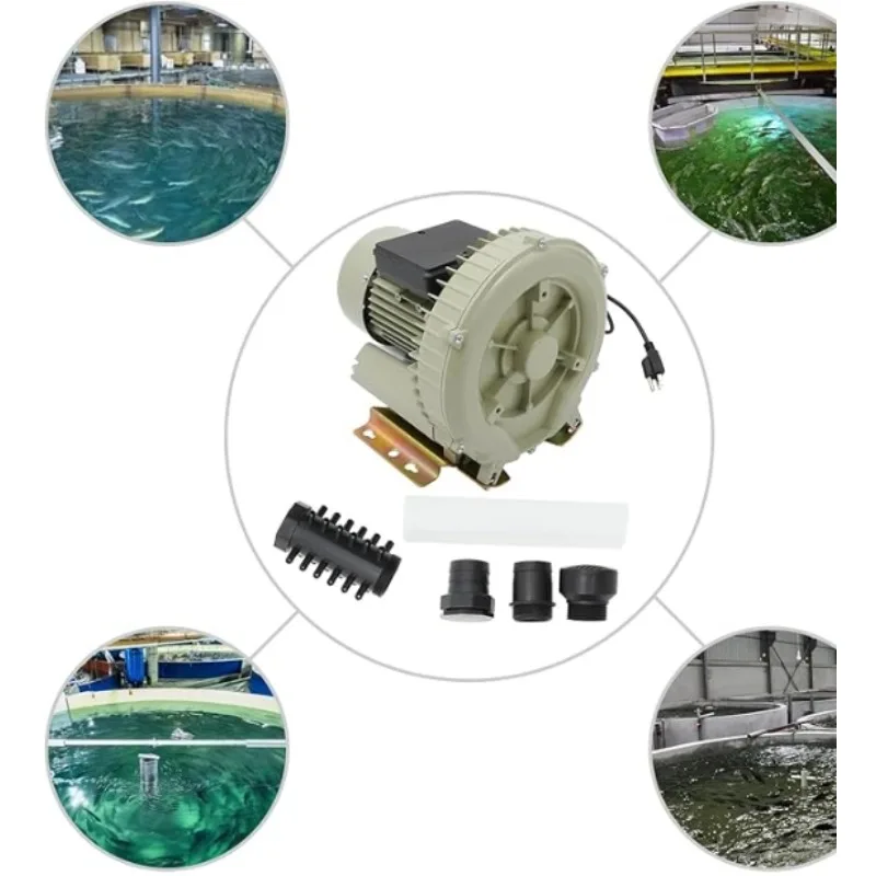 Dualit-Torradeira NewGen Clássica, Cromada, 4 fatias