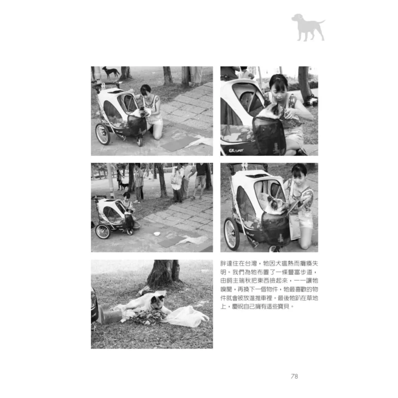 Play Sniffing With Your Dog  Make Good Use Of Your Dogs Magical Sense Of Smell To Open Up A Brandnew Universe Of Humandog Intera