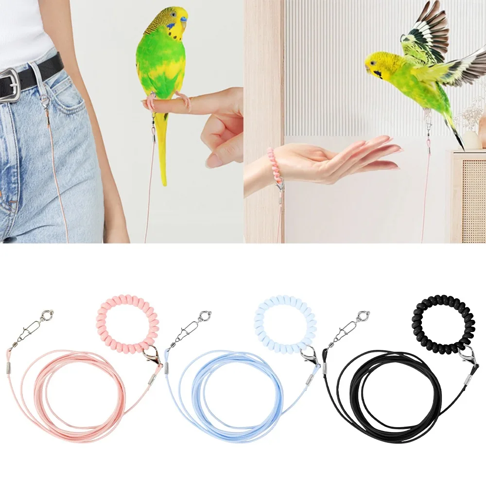 Elastic Parrot Traction Rope Anti-flying Multiple Size Parrots Training Leash Lightweight Metal Buckle Bird Foot Chain for Birds