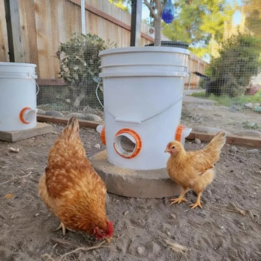 【Spot goods】Chicken Feeder Port 6 Pack Chicken Feeders No Waste with 6 Lids 1 Drill Bit DIY Automatic Poultry Feeder Cups Kit C view 2