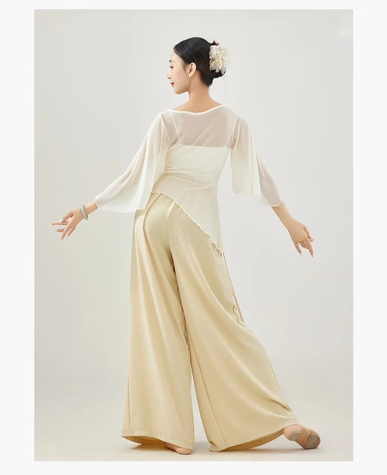 قميص نسائي شيفون بأكمام جرس - قميص رقص بأكمام على شكل فراشة للممارسة الكلاسيكية والحديثة #5