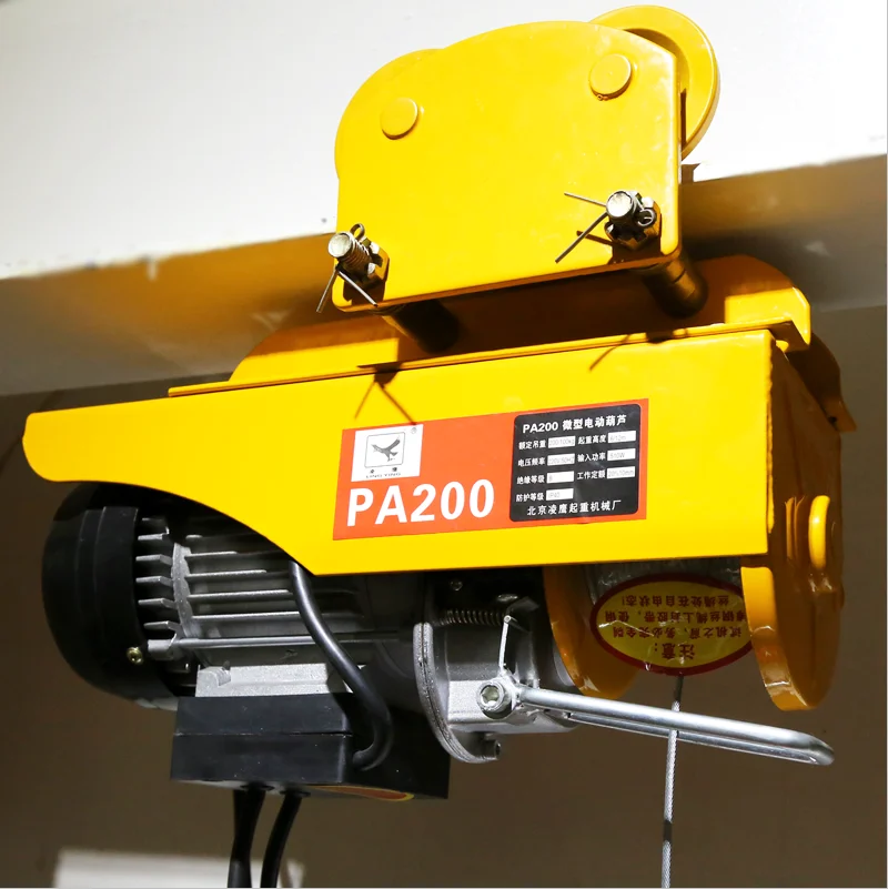 Direct Sales warehouse Home Use facilitate PA200M 100kg mini electric chain hoist