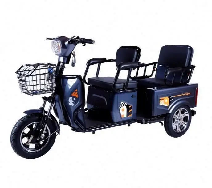 

Electric Trike 3 Wheel Electric Tricycle Three Wheels Adult Cargo Electric Bike