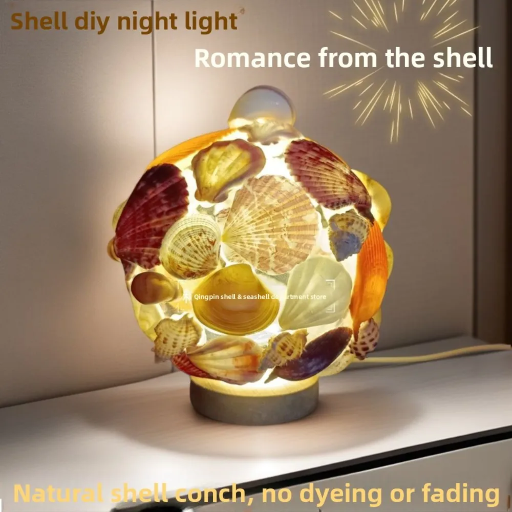 Natural Conch and Sea Urchin Shell Mini Night Light for Kids Birthday Gift DIY Craft Decoration Creative Home Ornament