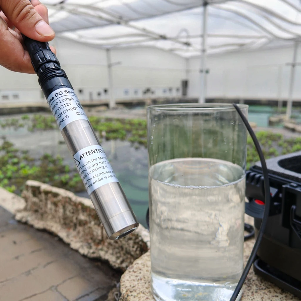 

Цифровой датчик растворенного кислорода RS485 Seawater Online DO для аквакультуры