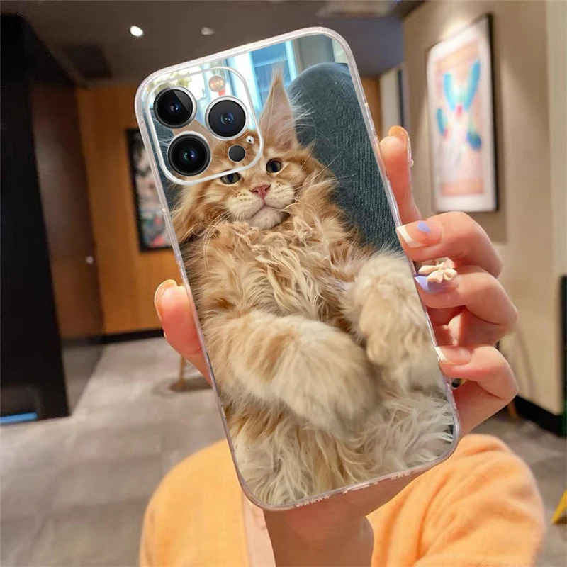 

Phone Case For iphone 17 Pro Max Air 16 15 14 13 Pro Max 15 16 Pro 15Plus Maine Coon Cat