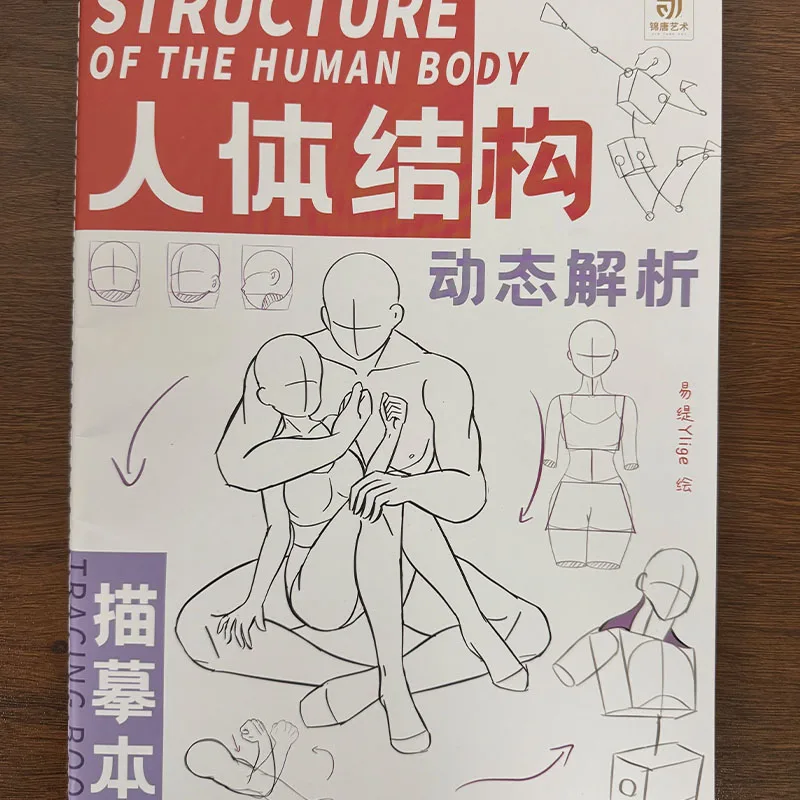 Human Body Structure Dynamic Tracing Book Sketch Practice Notebook for Beginners Anime Comic Drawing Tutorial