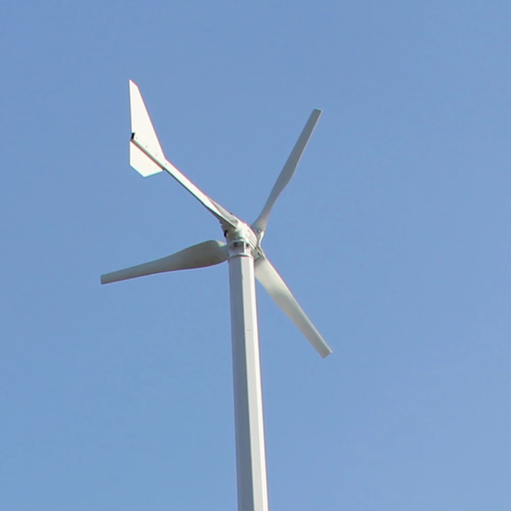 Low Wind Speed Up 1000W 24V 48V  Wind Turbine Generator With MPPT Charge Controller And Off Grid SystemFor Marine and Land