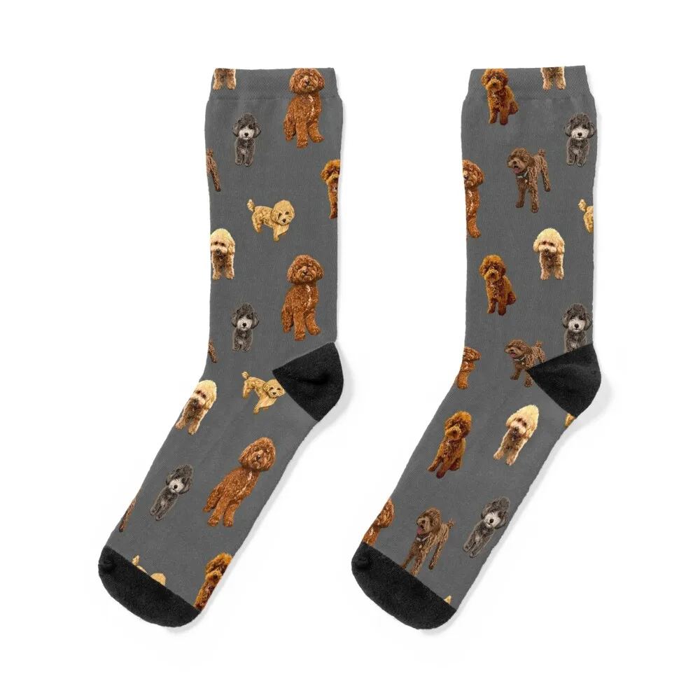 Toy Poodle pattern on dark gray background Socks Children's Non-slip professional running Socks Ladies Men's