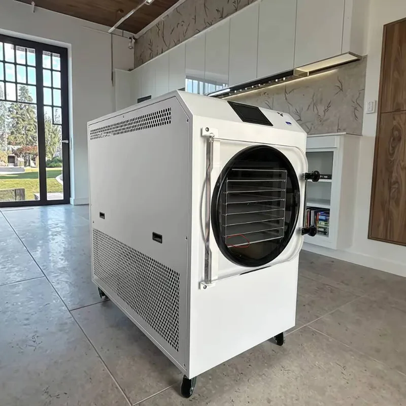 Industrial Dried Fruit Vegetables 30KG Equipment Drying Machine Freeze Dryer For Sale