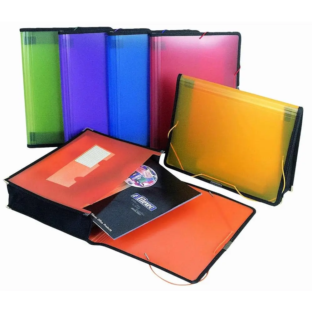 

Free Shipping-Filexec Single Pocket Expanding File, Letter, Elastic Closure, Assorted, Pack of 6 (50125-3429)