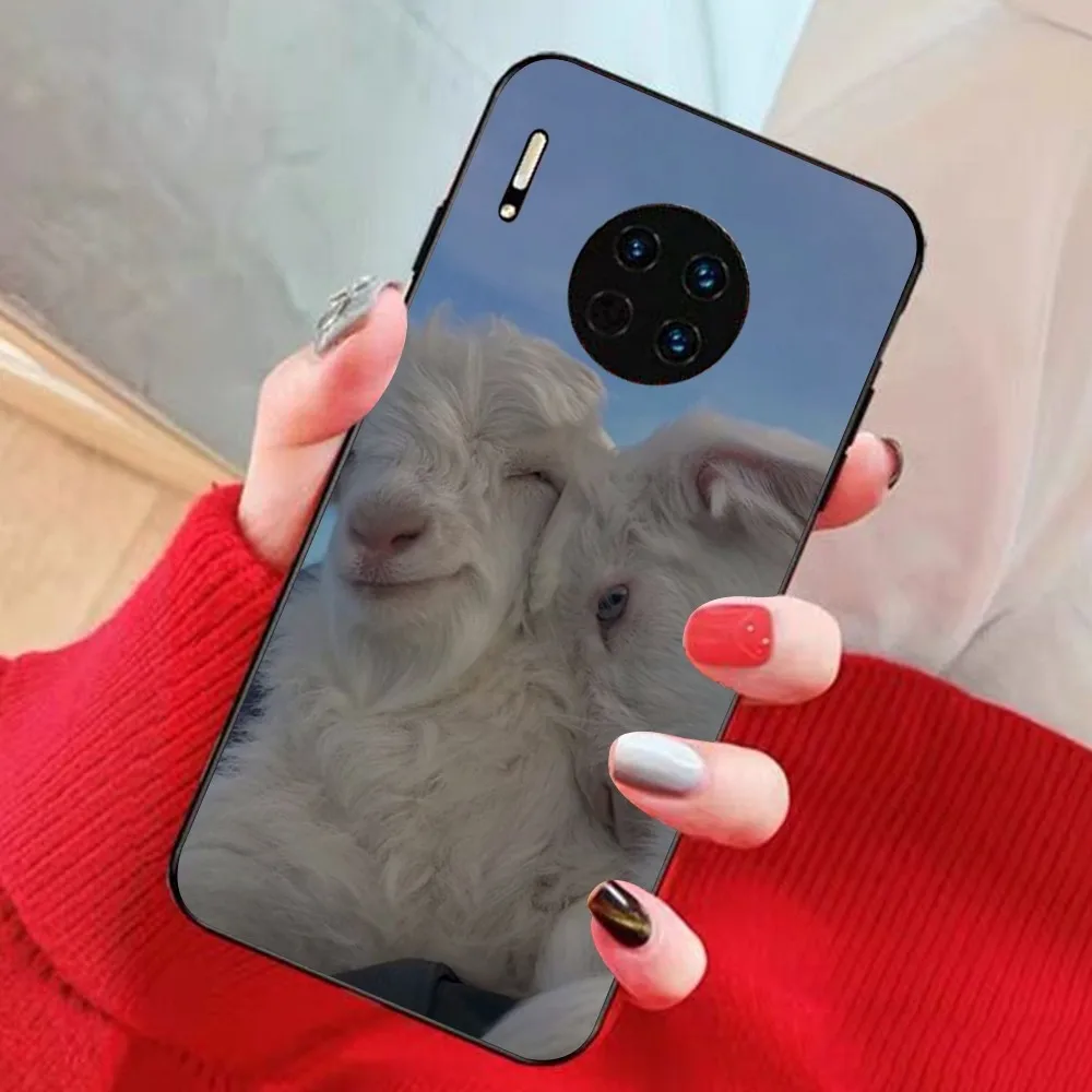 Sheep farm happy Phone Case For Huawei Mate 10 20 30 40 50 lite pro Nova 3 3i 5 6 SE 7 pro 7SE