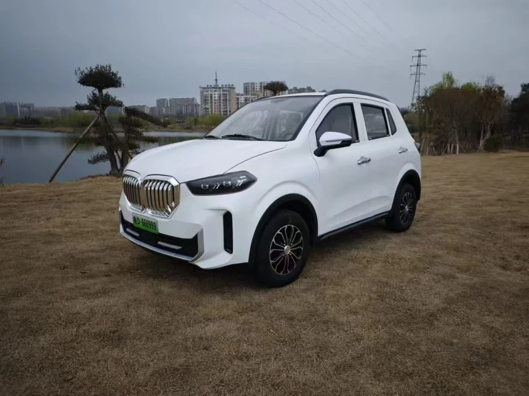 سكوتر الزيت والكهرباء ثنائي الغرض 2025 كهربائي جديد بأربع عجلات مغلق بالكامل