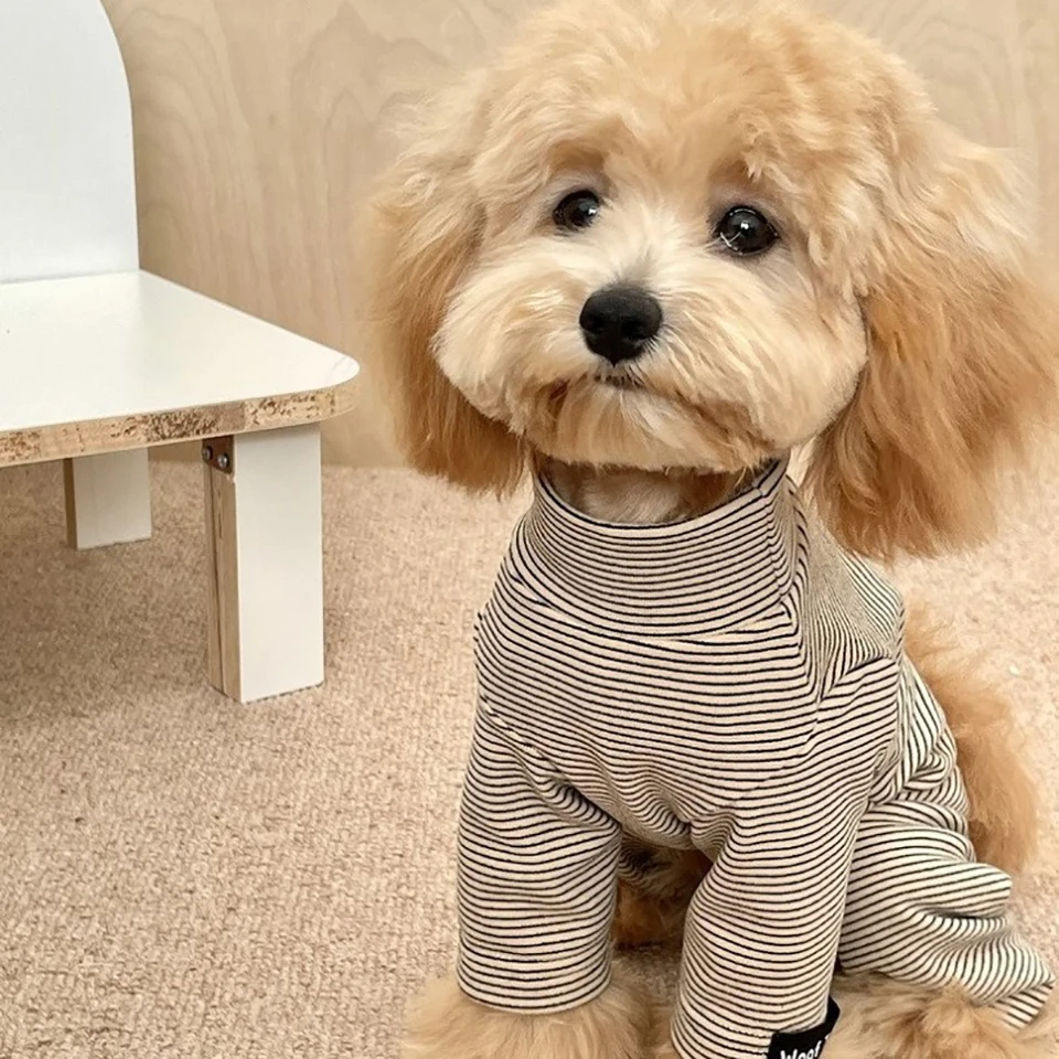 Niedlicher Hundebasisschicht- und Loungewear-Anzug – Warmer Winter-Overall mit vier Beinen für Bichon Frise, Yorkshire Terrier und Teddy – Detail 3