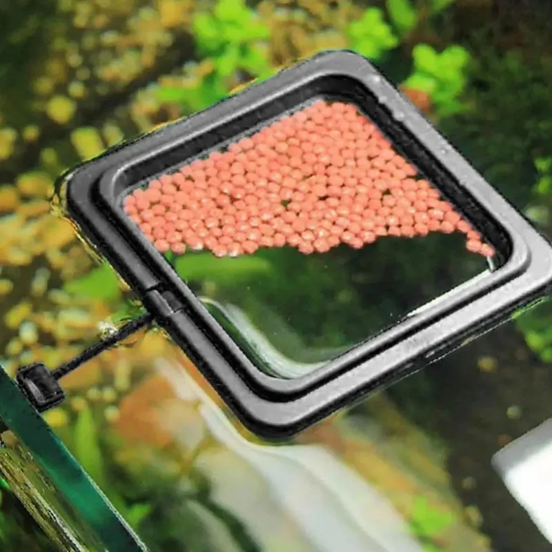 Black Color Aquarium Feeding Ring Fish Tank Floating Food Tray Feeder Square Circle Accessory Fish Food Feeder Suction Cup image 4