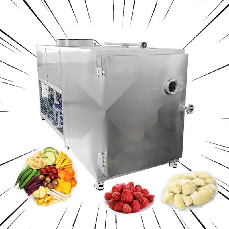 Рисунок 2 - Промышленная сублимационная сушилка для фруктов